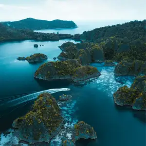 Raja Ampat - Endonezya